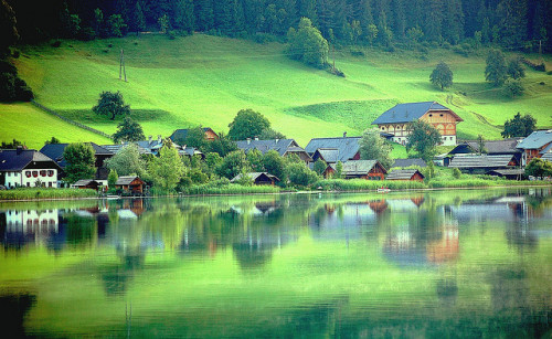 REFLECTIONS ON THE LAKE by Weirena on Flickr.