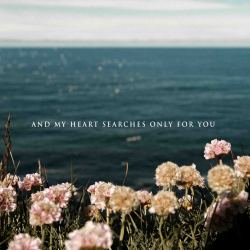 poppunklateatnight:  The Amity Affliction //  O.M.G.I.M.Y.