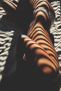 wearevanity:   Body Stripes © 