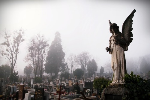 vanilleclair:  Mirogoj cemetery in Zagreb, Croatia 