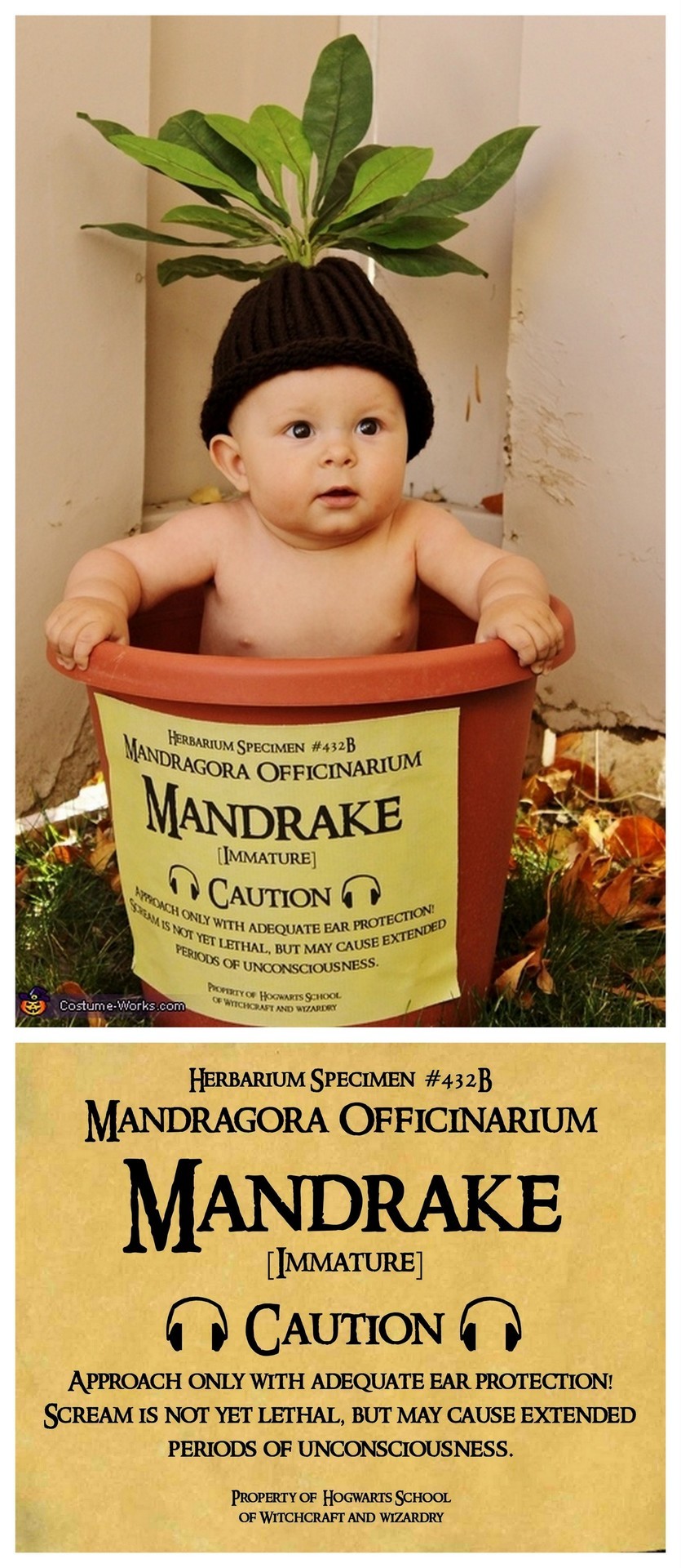 Truebluemeandyou Halloween Cosplay Diys Diy Harry Potter Mandrake Costume The Cutest Baby