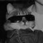 universal-m0on