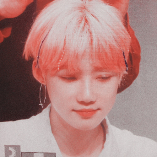 CHANHEE| pink iconsʟɪᴋᴇ ᴏʀ ʀᴇʙʟᴏɢ ɪꜰ ʏᴏᴜ ꜱᴀᴠᴇ ♡ ᴅᴏɴ'ᴛ ʀᴇᴘᴏꜱᴛ