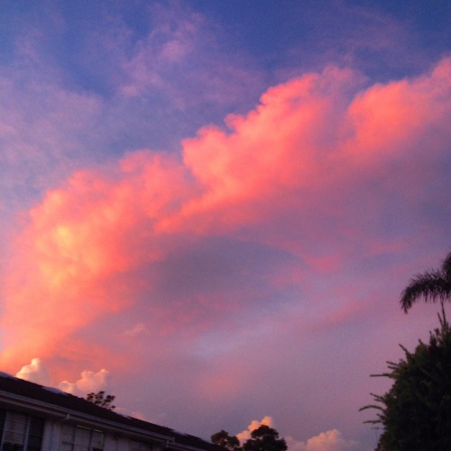 girlfawn:  Trust me to take 5000 photos of a pretty sunset  ig: erinmacnaught 