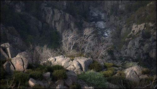 Cévennes National Park, FranceThese are the headwaters of a river in the south of France, the Chasse