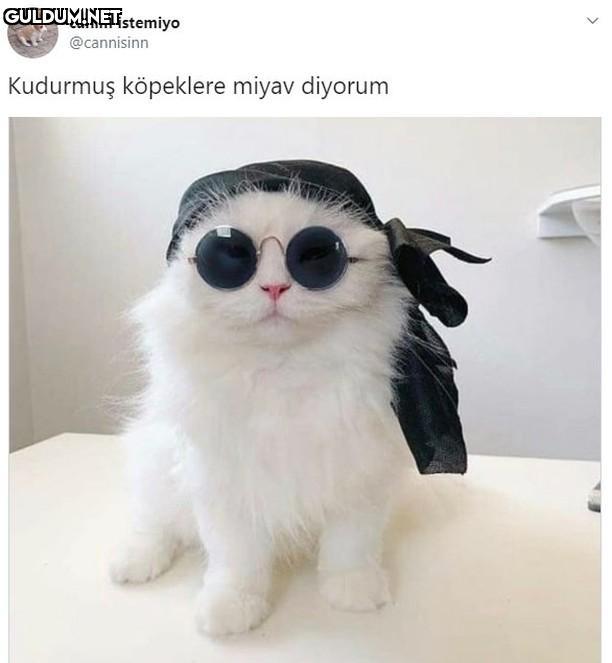 Killa Mırnav canim...