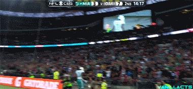 itspattho:  vanillacts:  Mike Wallace 13 yd TD pass from Ryan Tannehill  화이팅