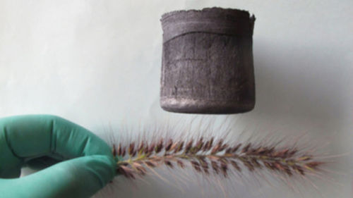 Graphene Aerogel adult photos