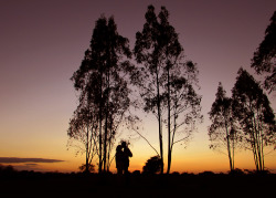 Zarb:    “Silhouette”   Thiago Braz | Instagram @Z_Arb | Tumblr   