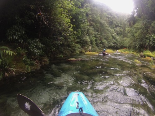 Paddled the most amazing river on the planet on Saturday! Waiari Gorge is spring fed and so clean yo