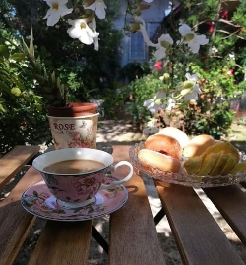 Springtime Days Filled With Joy & Serenity