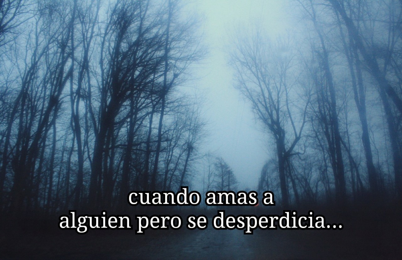 frases-de-canciones-esp:  Coldplay - Fix You 