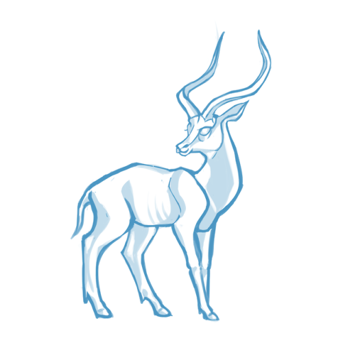 antelope study vs. 3d model :3