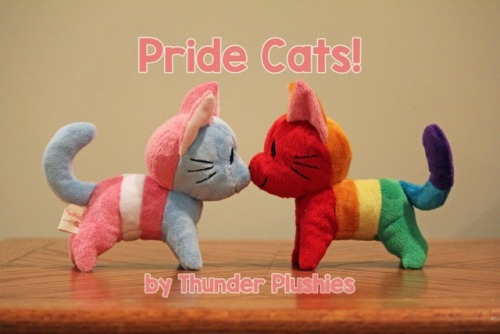 sosuperawesome:  Pride Cats  / Rainbow Cat PinThunder Plushies#Etsy #Plush 