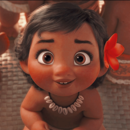 animationsedts