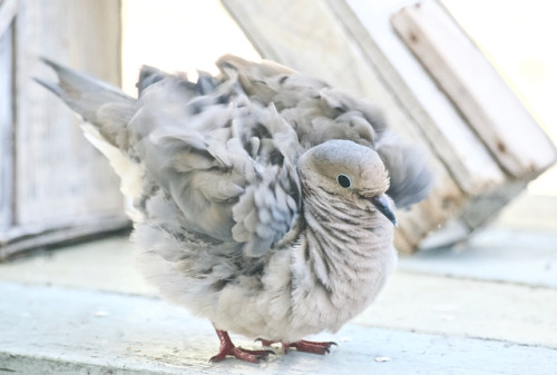 greenandflex: This table is mine!