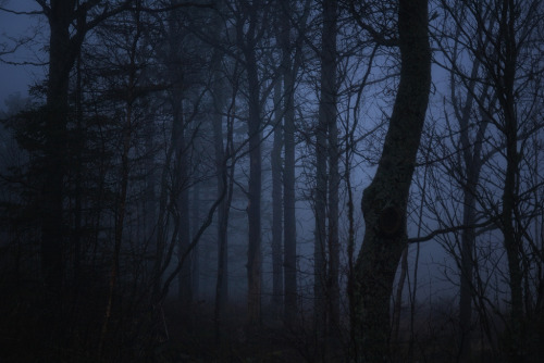 darkface:that corner of my mind (by Mariann Nikolaisen)