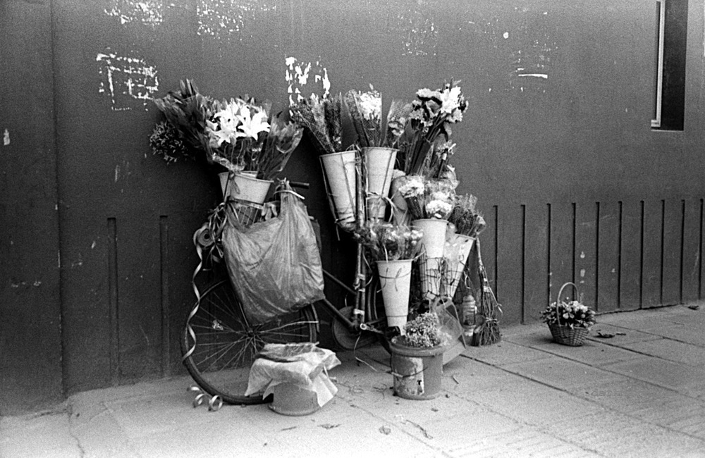 chinablues:
“ Flower lady’s bike
Shanghai, 2013.
Canon-7, Jupiter-12 2.8/35. D76 + bulk Trix 400.
”