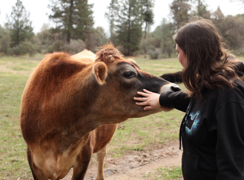 Douglas and Bethany. Animal Place, Grass Valley, CA. © Andrea White 2014
