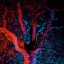 residual-light