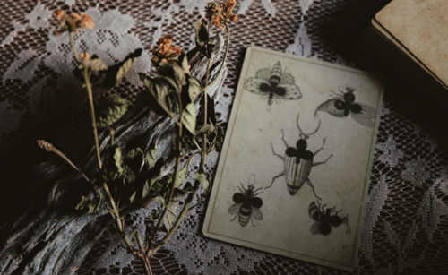 themoonparlor:  A 2004 edition of 1805 transformation playing cards, published by Del Prado. These c