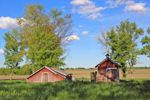 Illinois Impressionshttps://www.ella-blame.com/post/illinois-impressions