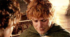 lord of the rings daily