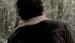 atlantafive:  make me choose  asked by rottenwasp: Carol and Rick’s reunion in 3x07 or 5x01? 