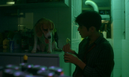 ‘重慶森林’ (Chungking Express), Wong Kar-wai (1994)We split up on April Fool’s Day. So I dec