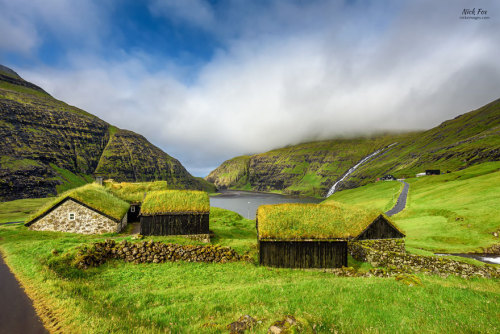 archatlas: Fairlytale Scandinavian Green RoofsScandinavians are serious about their green roofs. The