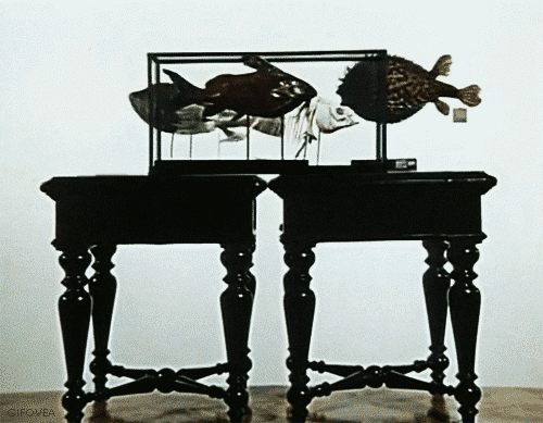 gifovea:  Jan Švankmajer - Historia Naturae (1967)