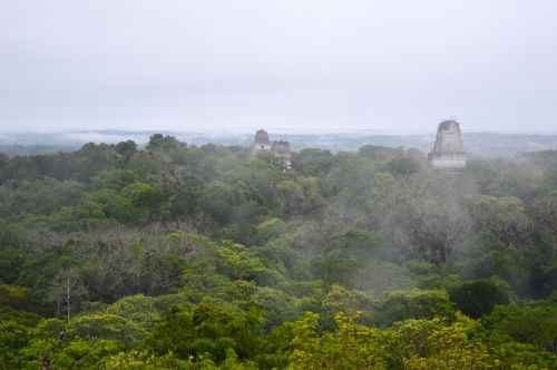 kleighau:  Tikal, Guatemala