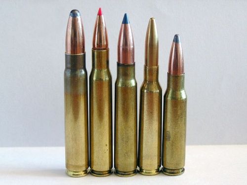gun-gallery:From left to right 9.3×62mm, .30-06 Springfield, 7.92×57mm Mauser, 6.5×55mm and .308 Win