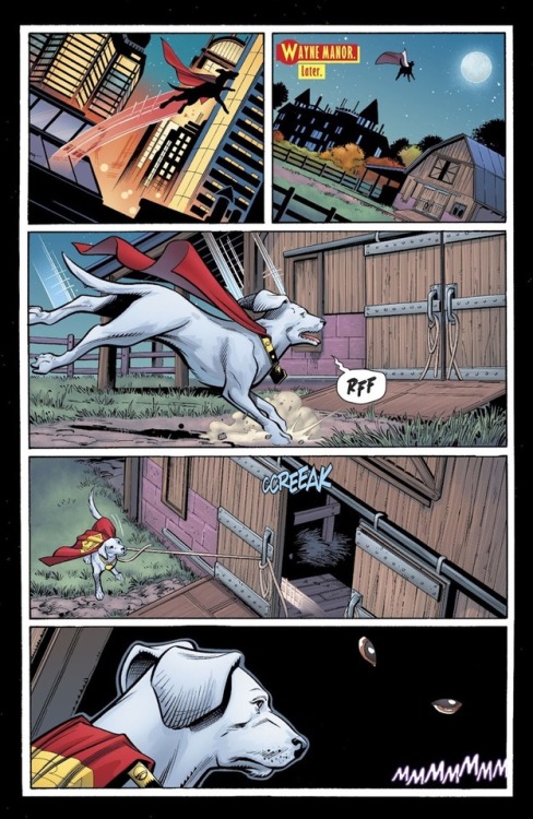wonderstrevors:There’s nothing more beautiful than Krypto and Titus friendship.