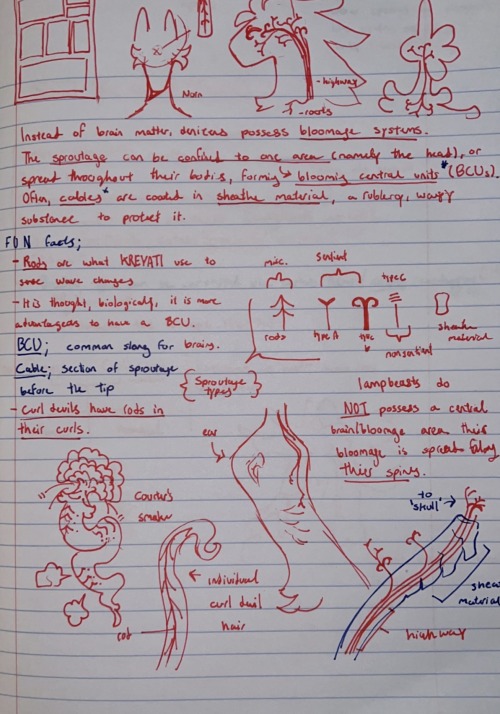 Some Unpolished Notes; Surprise! Im Going To Be Overhauling / Replacing The Bloomage + Neurology Post!