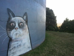 someone painted grumpy cat on a water tank near my house and it is huge hahahahahaha i love this person