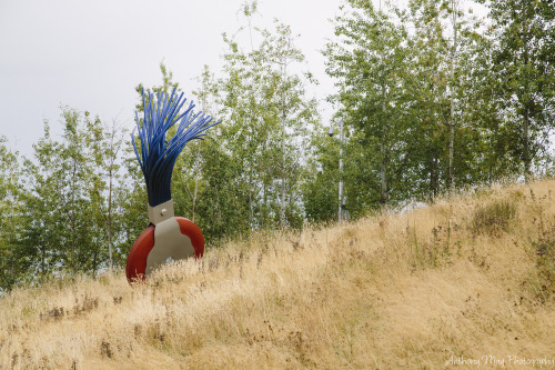 antmayphoto:Olympic Sculpture ParkSeattle, WashingtonOlenburg Typewriter Eraser, Sculpture Garden, N