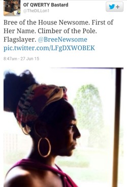 rudegyalchina:  absolutelyiris:  Your Hero of the Day: Bree Newsome just took down the Confederate flag this morning. [x]     Boost this shit where is her bond money ? PROTECT HER AT ALL COST !!!