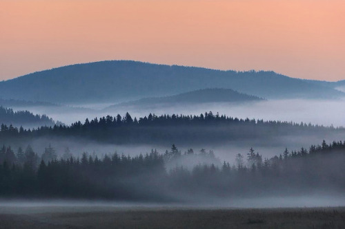 foxmouth: The Fog, 2014 | by Kilian Schönberger