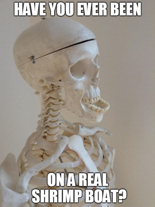 srsfunny:  Poor Bubbahttp://srsfunny.tumblr.com/ 