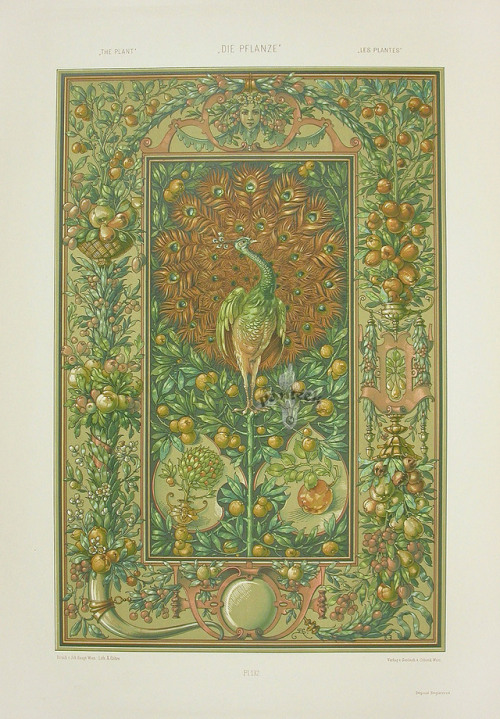 Anton Seder - Art Nouveau Prints 1890
