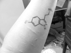 cut-over-cuts:  jakumira:  socially—suicidal:  scarredwristsandrazorblades:  socially—suicidal:  So I put this on Facebook with the caption ‘this is the serotonin molecule. serotonin is the chemical the brain lacks when someone is depressed. i will