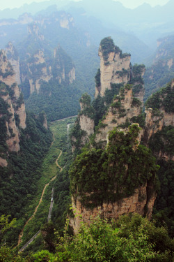 0ce4n-g0d:  weightless—souls:  Canyon Road | Photographer 