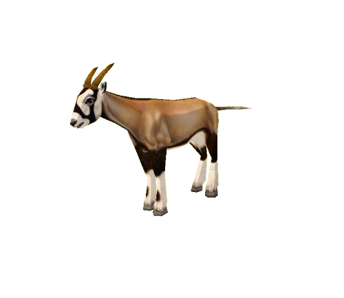 lowpolyanimals:    Gemsbok Baby from Zoo Tycoon 2