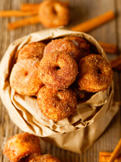 pumpkinsandsweaters:  Classic Cinnamon-Sugar Mini Donuts | Deliciously Yum 