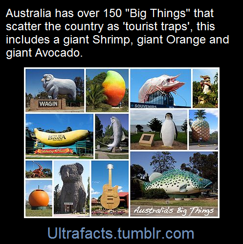 ultrafacts:  (Fact Source)Follow Ultrafacts for more facts!