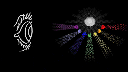 teded:  There are three types of color receptors in your eye: red, green and blue.