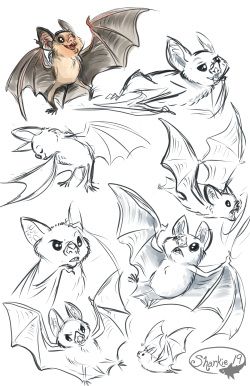 sharkie-19:  Vampire bats 