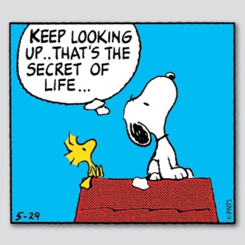 yogalifeme: #Snoopy summing up the #SecretToLife - We love it!