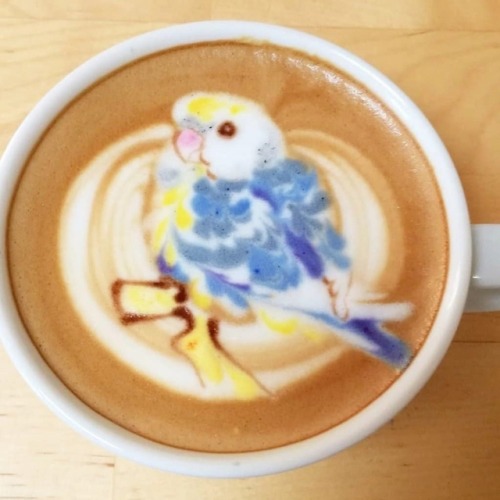 cleverclove:notajerusalemcricket:acek20: puki-guadiest-puki-tronuses: sosuperawesome:kunit92 on Inst